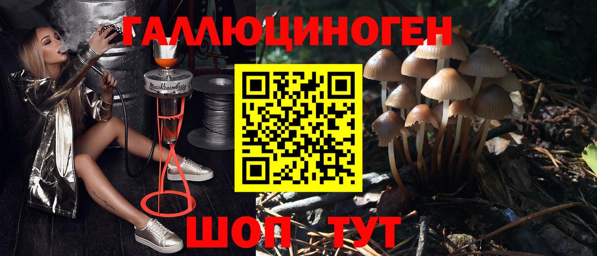 Псилоцибиновые грибы прущие грибы Ступино